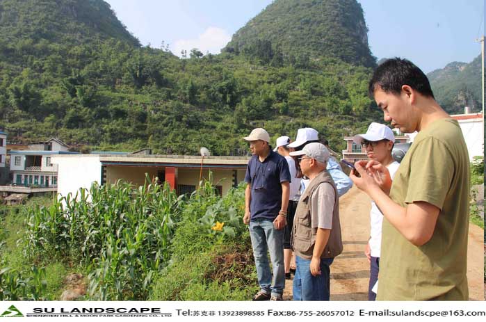 岳的大肥屁熟妇五十路99