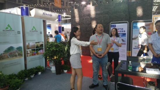 岳的大肥屁熟妇五十路99