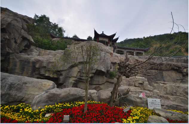 岳的大肥屁熟妇五十路99