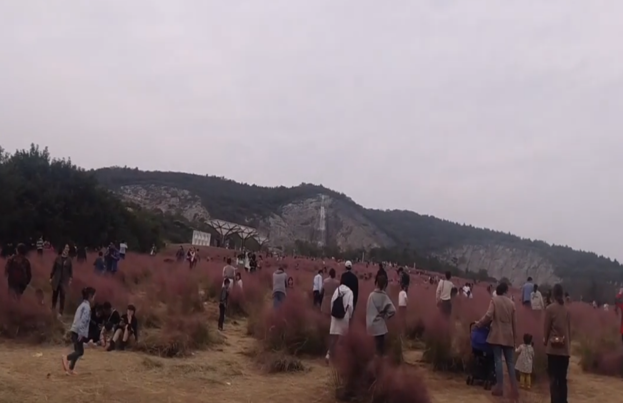 矿山改造-生态修复