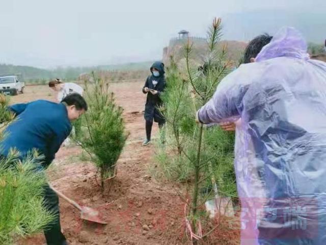 岳的大肥屁熟妇五十路99