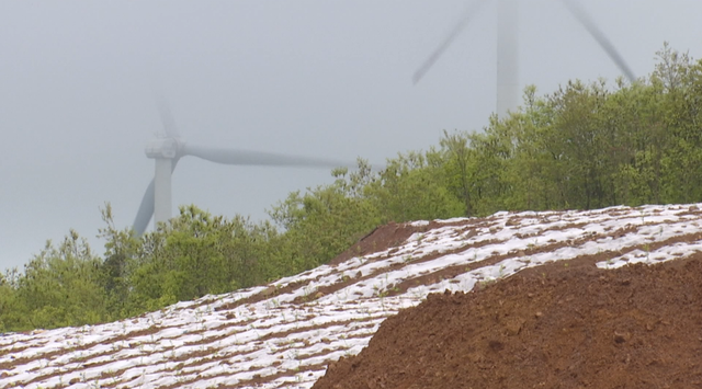 岳的大肥屁熟妇五十路99