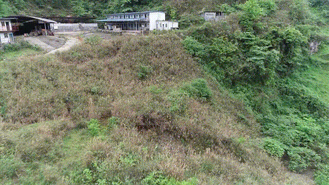 岳的大肥屁熟妇五十路99