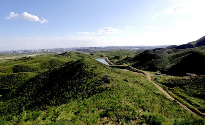 岳的大肥屁熟妇五十路99