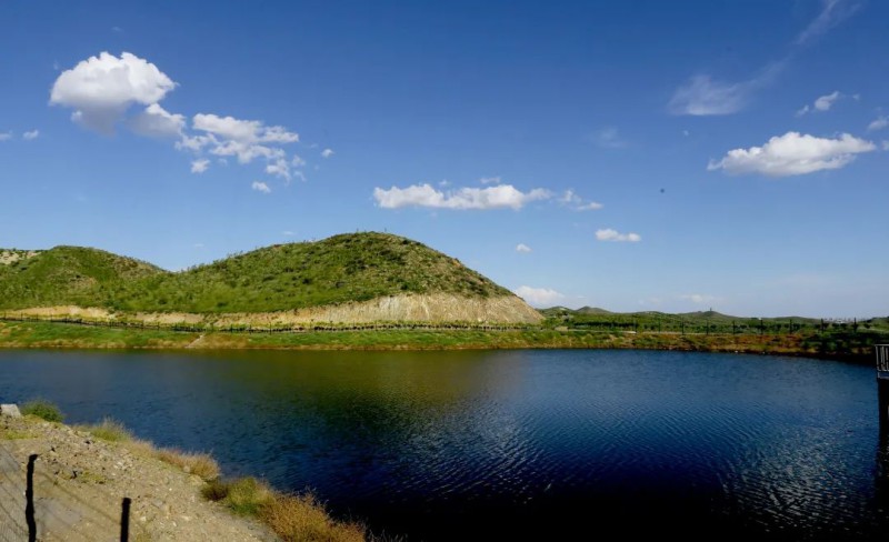 岳的大肥屁熟妇五十路99