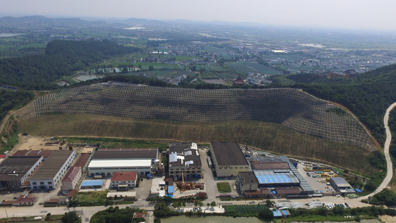 岳的大肥屁熟妇五十路99