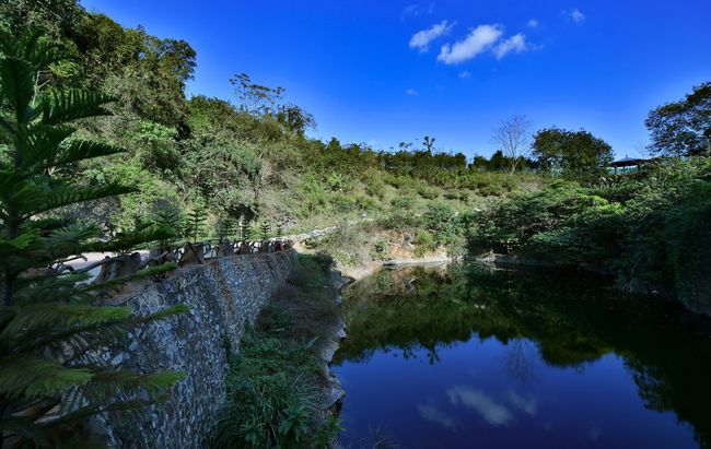 岳的大肥屁熟妇五十路99