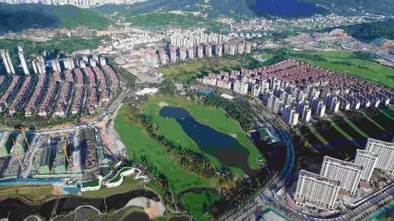 岳的大肥屁熟妇五十路99