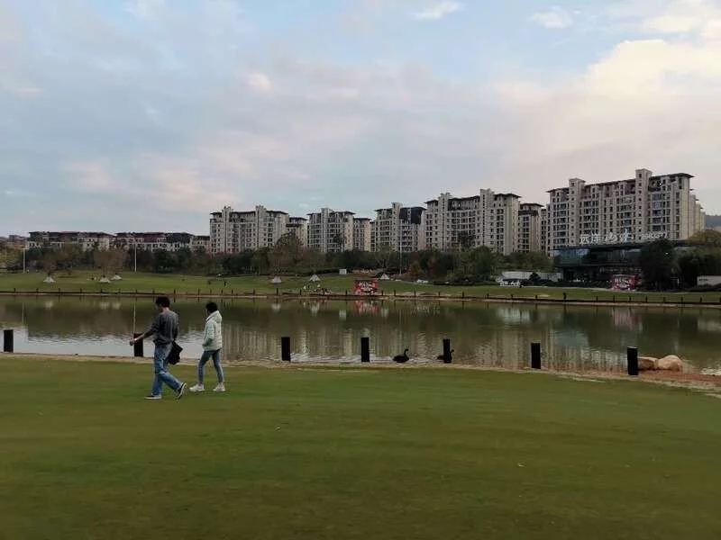 岳的大肥屁熟妇五十路99