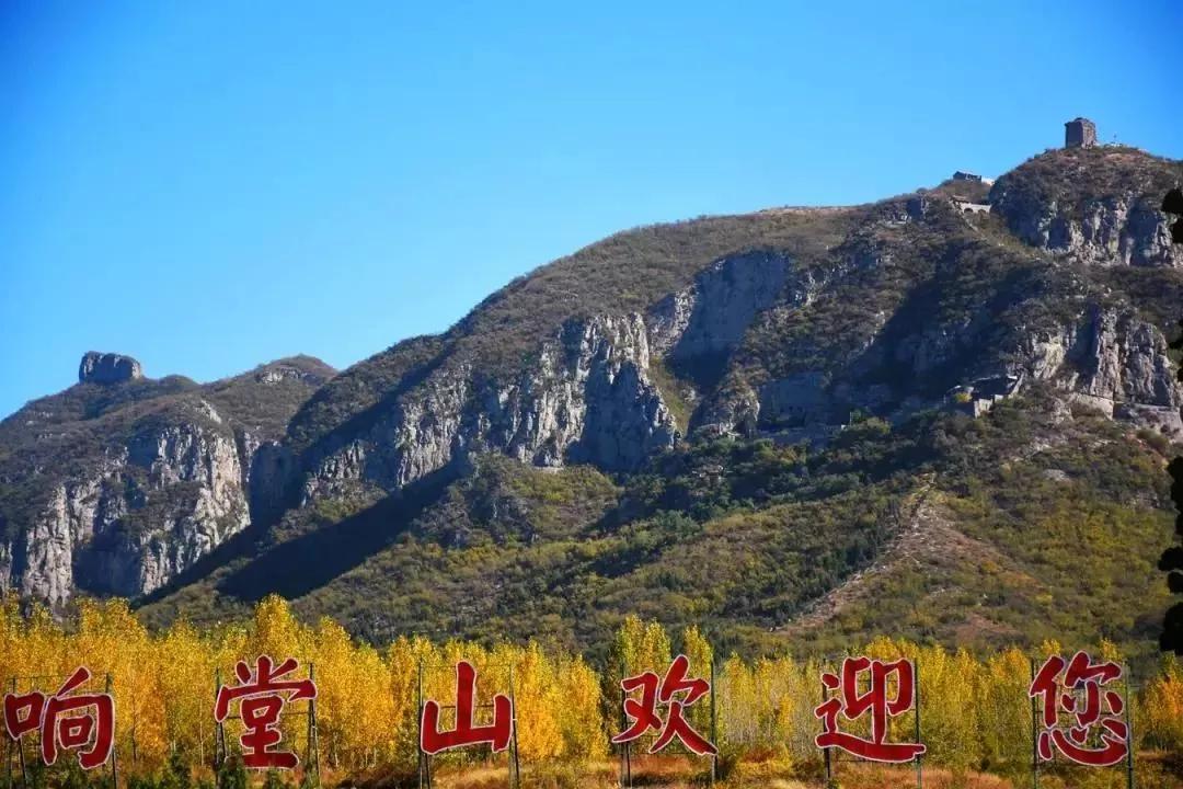 岳的大肥屁熟妇五十路99