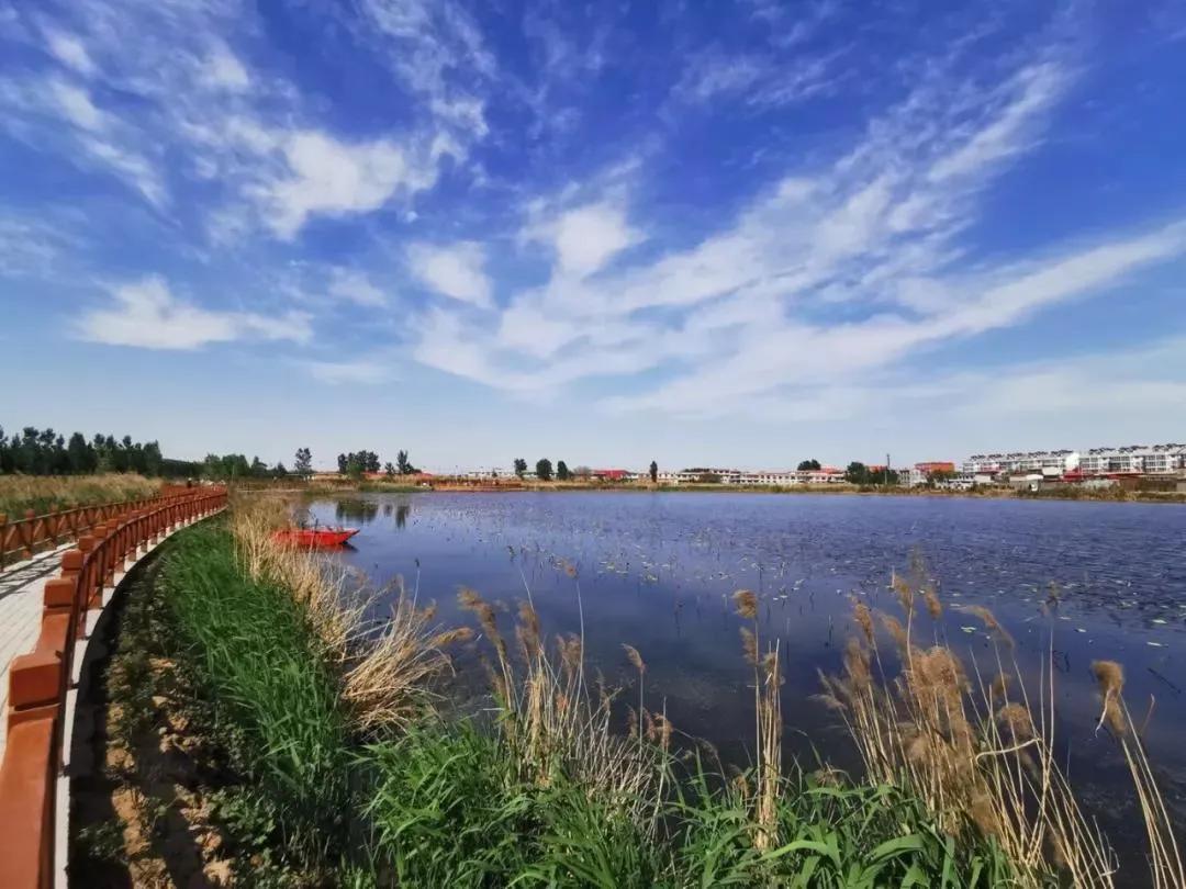 岳的大肥屁熟妇五十路99