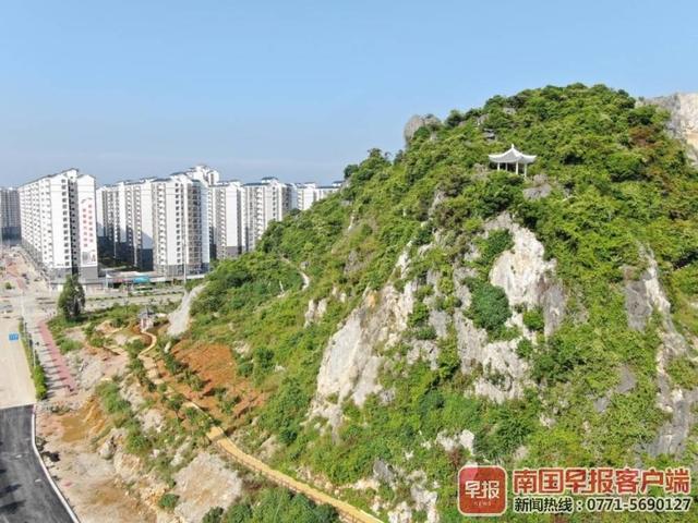 岳的大肥屁熟妇五十路99