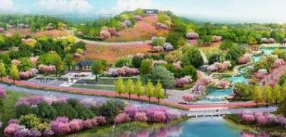 岳的大肥屁熟妇五十路99