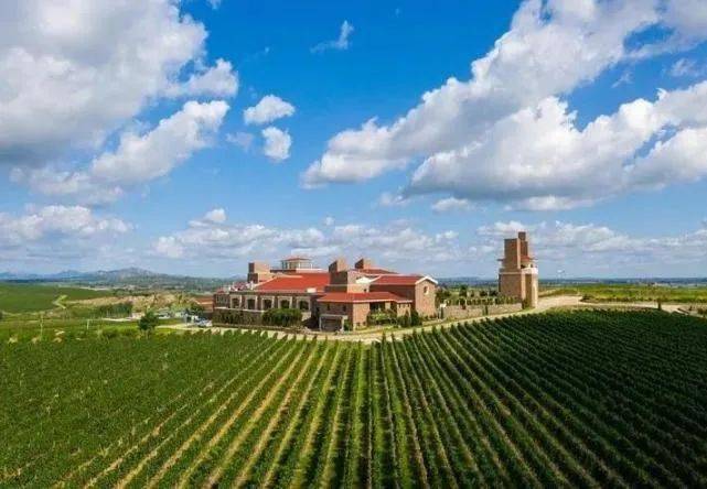 岳的大肥屁熟妇五十路99