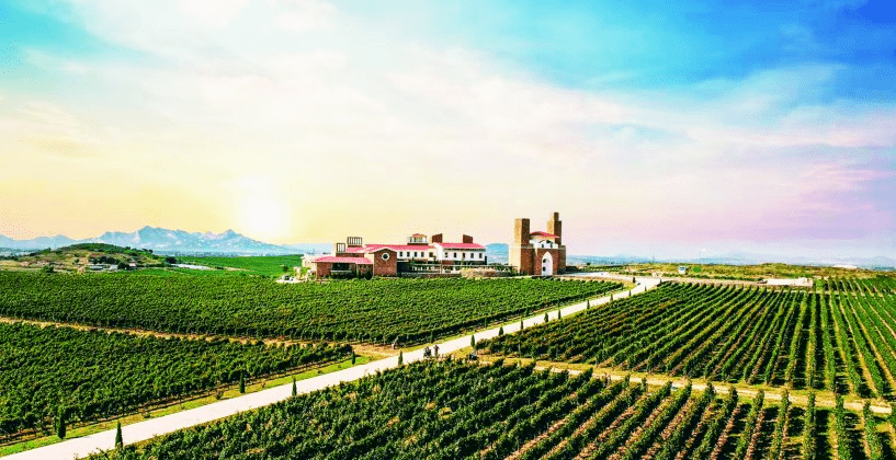 岳的大肥屁熟妇五十路99