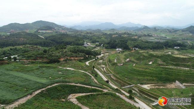 岳的大肥屁熟妇五十路99