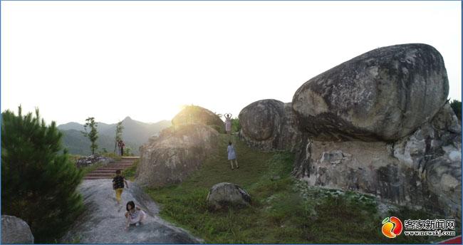 岳的大肥屁熟妇五十路99