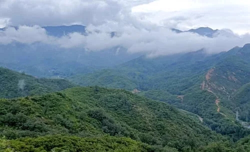 岳的大肥屁熟妇五十路99