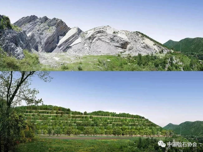 岳的大肥屁熟妇五十路99