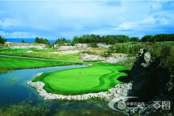 岳的大肥屁熟妇五十路99