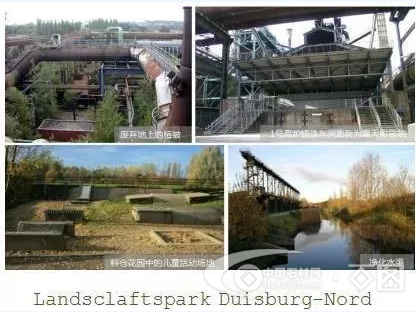 岳的大肥屁熟妇五十路99