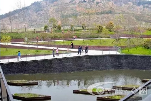 岳的大肥屁熟妇五十路99