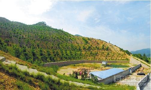 岳的大肥屁熟妇五十路99