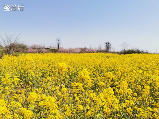 岳的大肥屁熟妇五十路99