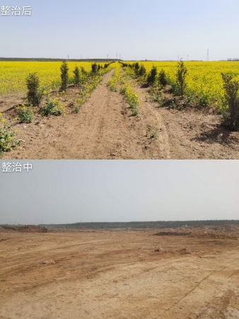 岳的大肥屁熟妇五十路99