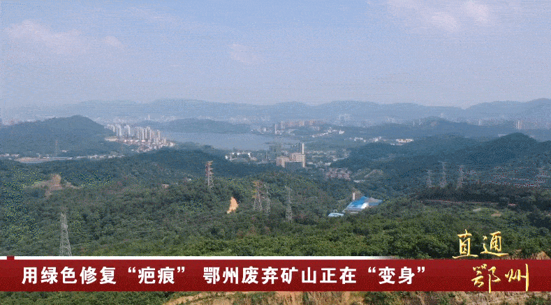 岳的大肥屁熟妇五十路99