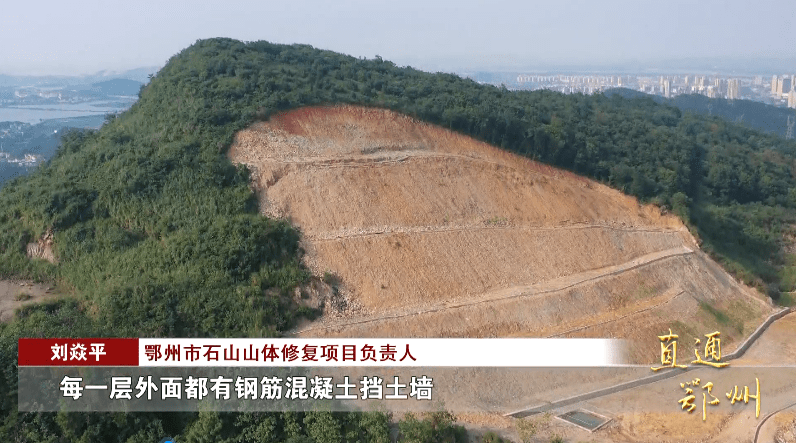 岳的大肥屁熟妇五十路99