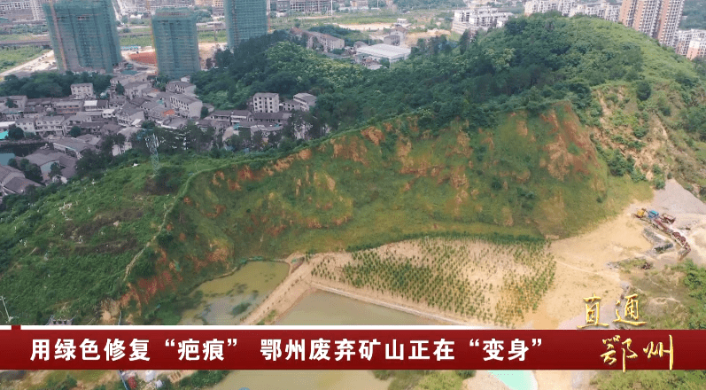 岳的大肥屁熟妇五十路99