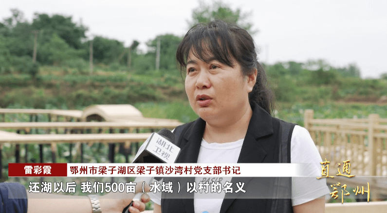 岳的大肥屁熟妇五十路99