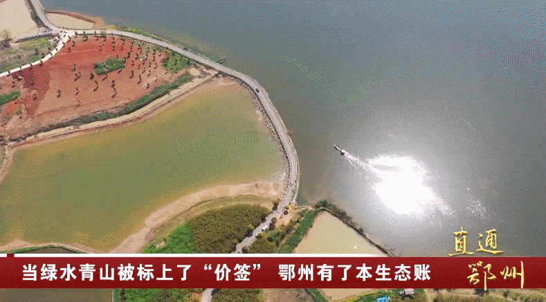 岳的大肥屁熟妇五十路99