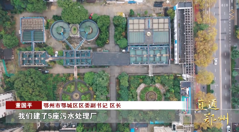 岳的大肥屁熟妇五十路99