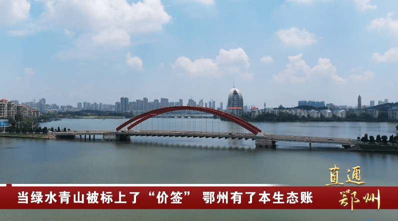 岳的大肥屁熟妇五十路99