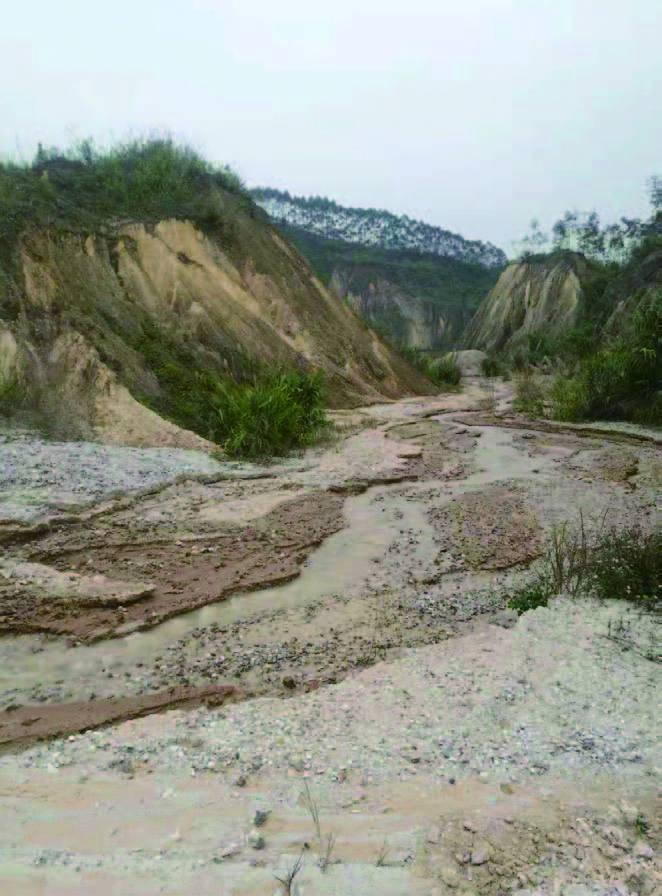 岳的大肥屁熟妇五十路99