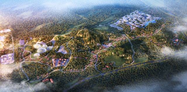 岳的大肥屁熟妇五十路99