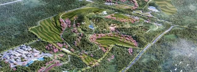 岳的大肥屁熟妇五十路99