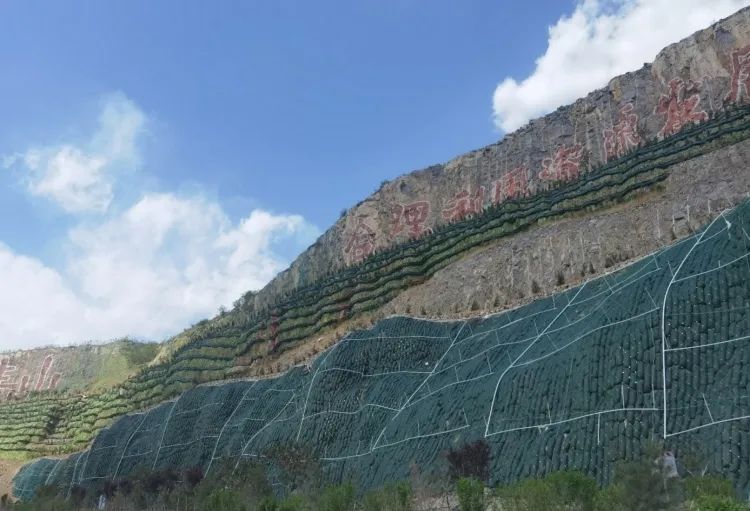 岳的大肥屁熟妇五十路99