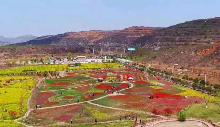 岳的大肥屁熟妇五十路99