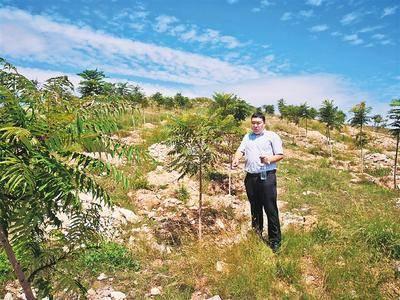 岳的大肥屁熟妇五十路99