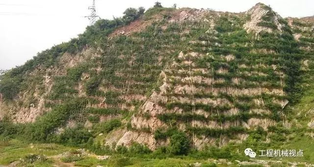 岳的大肥屁熟妇五十路99