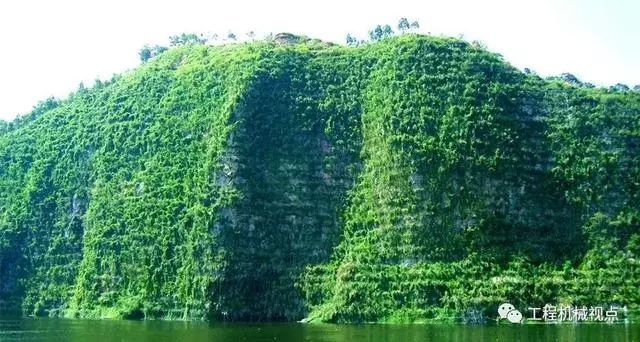 岳的大肥屁熟妇五十路99