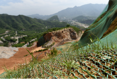 岳的大肥屁熟妇五十路99