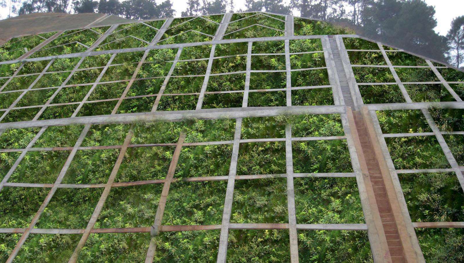 岳的大肥屁熟妇五十路99