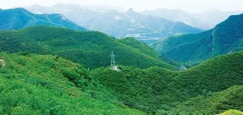 岳的大肥屁熟妇五十路99