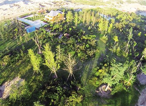 岳的大肥屁熟妇五十路99