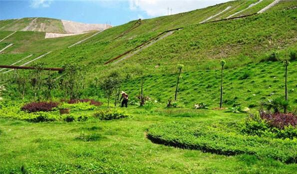 岳的大肥屁熟妇五十路99