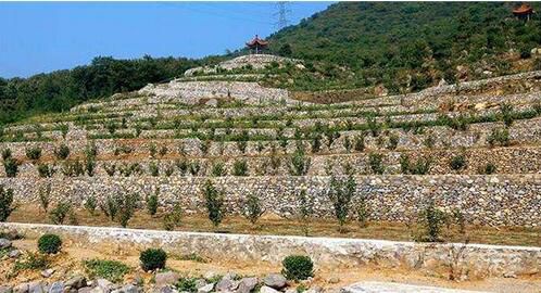 岳的大肥屁熟妇五十路99